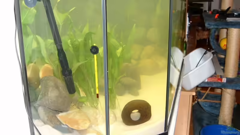 31.10.2009 von Kleene69 (6)