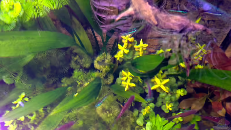 31,12,12 von Michel (33)