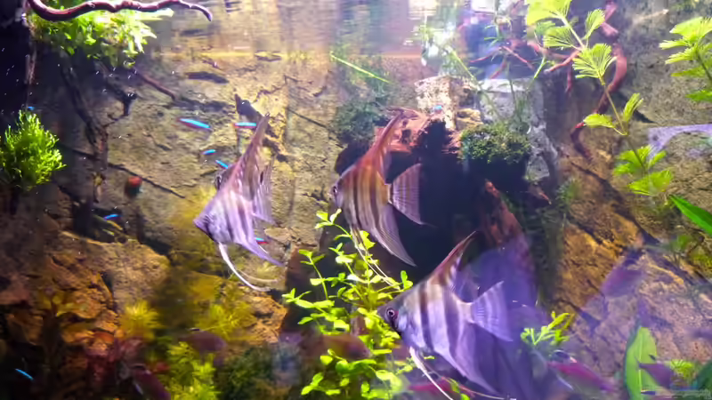 31.12.12 von Michel (55)