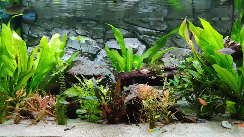 31.12.19 linke Seite von Woidma (5)