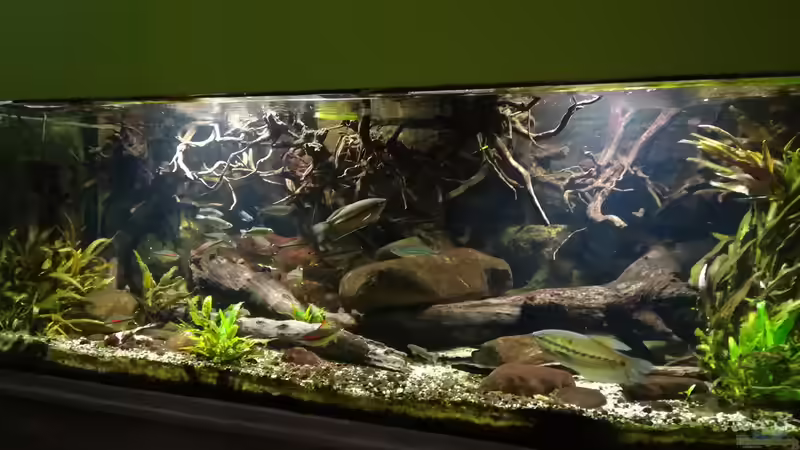 31.12.2017 mit smartphone aufgenommen von der Theoretiker (6)