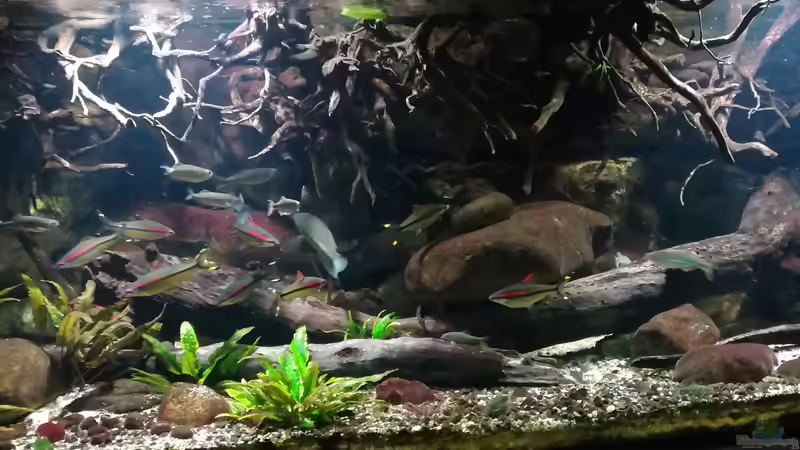 31.12.2017 mit smartphone aufgenommen von der Theoretiker (7)