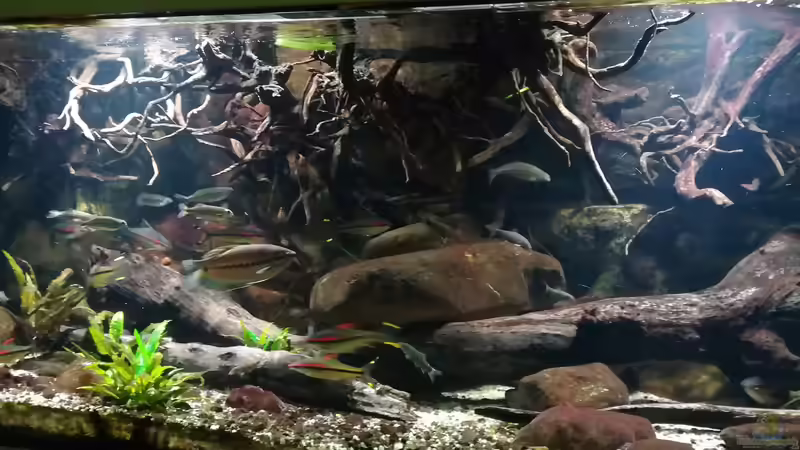 31.12.2017 mit smartphone aufgenommen von der Theoretiker (8)