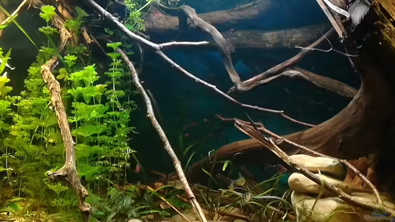 31.12.2017 von der Theoretiker (16)