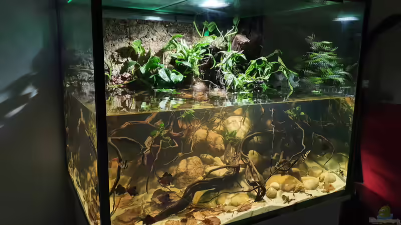 31.8.21 von Aqua fan (2)