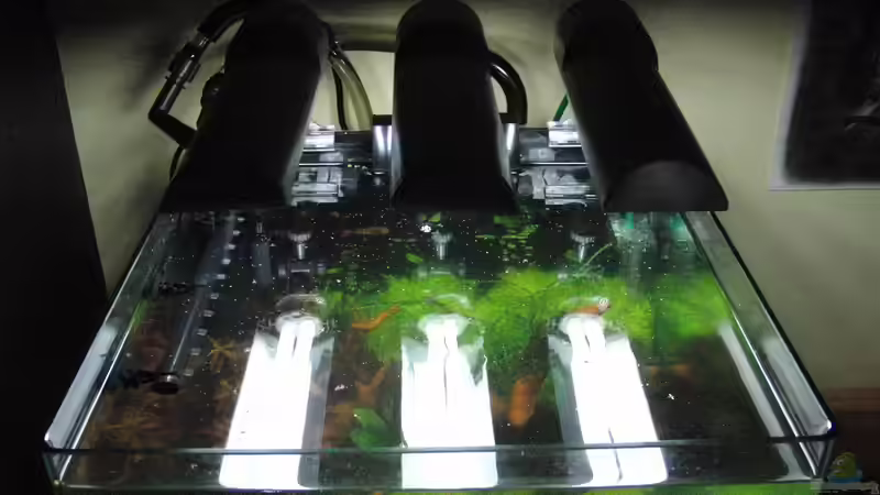 33Watt Beleuchtung von Bjarke (9)