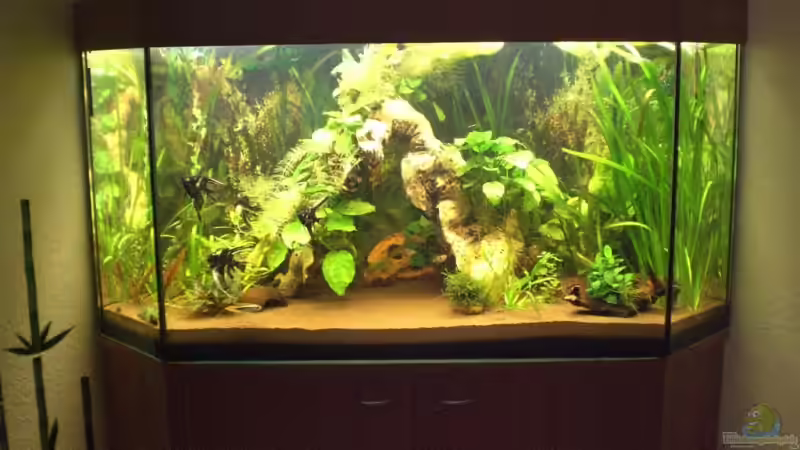 350 l Deltabecken Südamerika