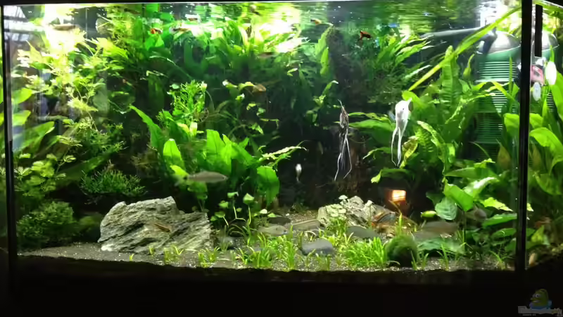 350 Liter Juwel Küche von LiWeBe (1)