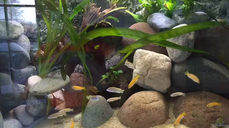 360 Malawibecken mit HMF von Masda (1)