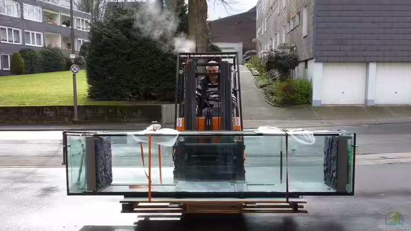 370 Kg Glas von OldFriend (6)