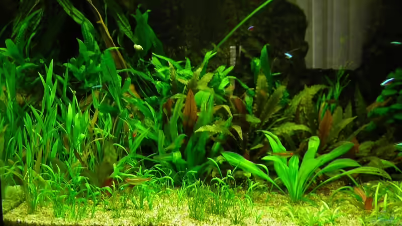 375L Links nicht mehr aktuell von Antje und Daniel (2)