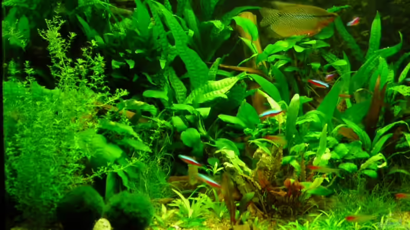 375L Links nicht mehr aktuell von Antje und Daniel (6)