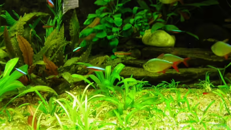 375L Mitte nicht mehr aktuell von Antje und Daniel (3)