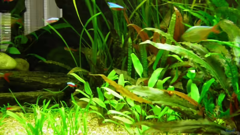 375L Mitte nicht mehr aktuell von Antje und Daniel (4)