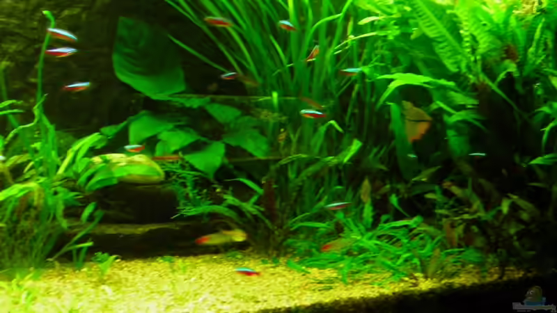 375L Mitte nicht mehr aktuell von Antje und Daniel (8)