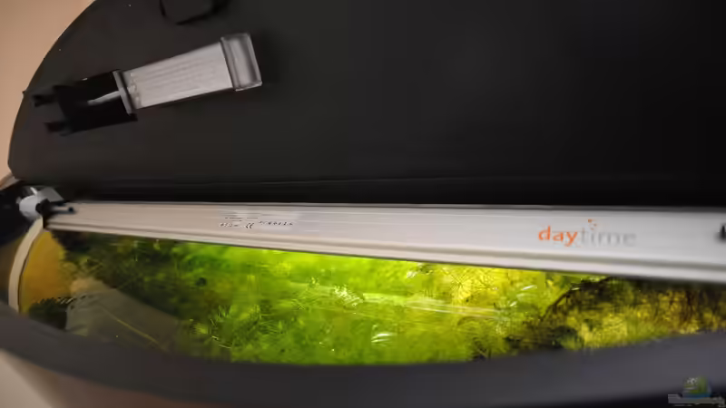 39 W daytime LED Balken schwenkbar, 5 W Mondlicht mit Schwanenhals und Kupplung von Peter Vlasaty (34)