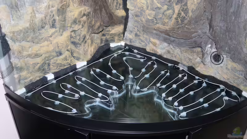 3D Rückwand - und Plexiglas für Sand im Vordergrund von Aquarienlandschaften (30)