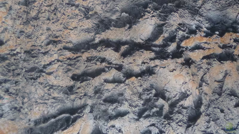 3D-Rückwand 3 von DER YBBSTALER (33)