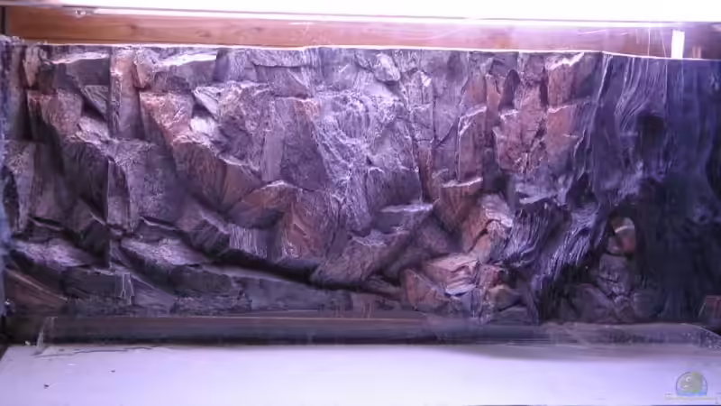 3D Rückwand eingeklebt von Gladbacherfohlen86 (5)