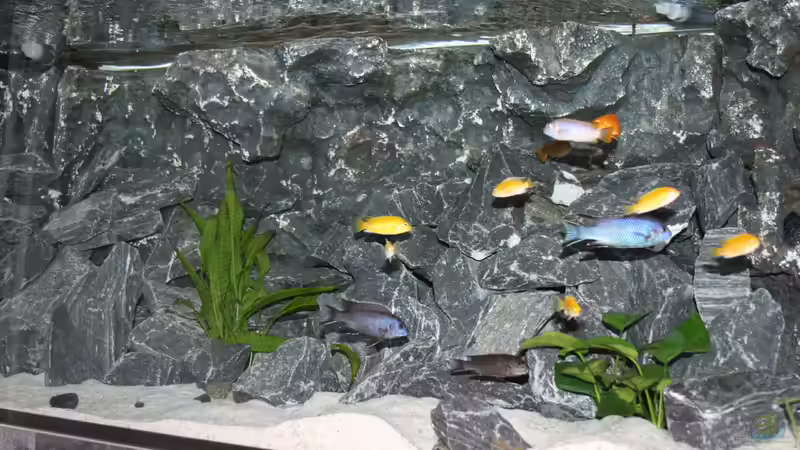 3D Rückwand (extrem aufgehellt) von Jean-Paul Ambord (11)