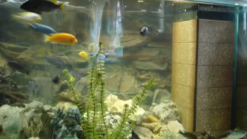 3D Rückwand und Rieselschacht von Christian Grundler (4)