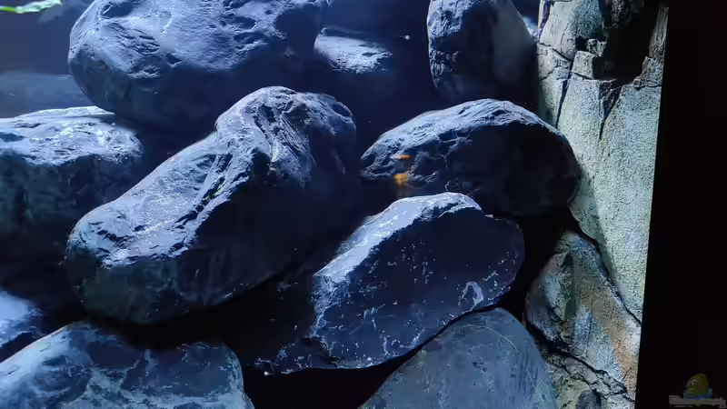 3D Rückwand verkleidet den Unerlaufschacht von LEDaquaristik.de (10)