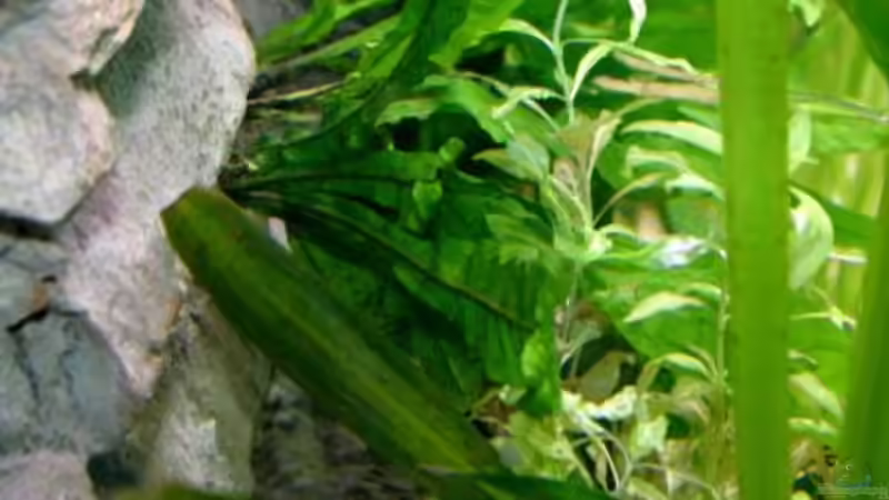 3D Rückwand von Martin Orendi (2)