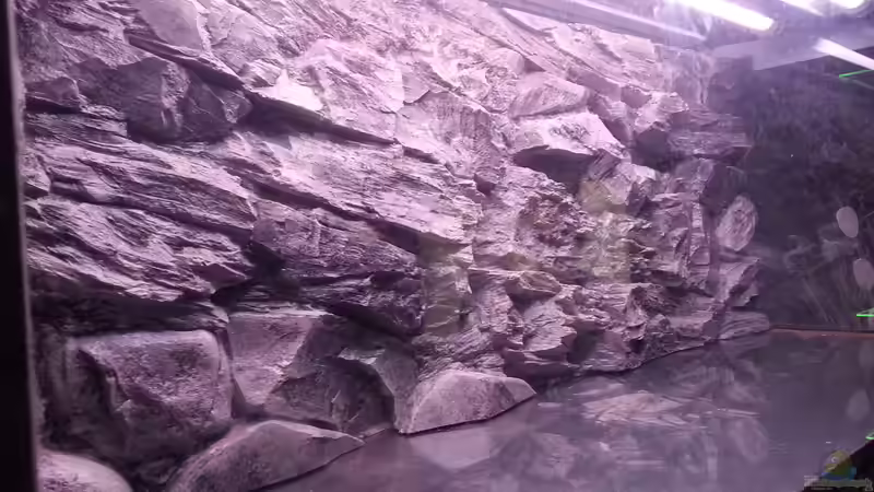 3D Rückwand von SheKa (13)