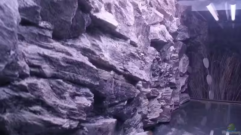 3D Rückwand von SheKa (14)