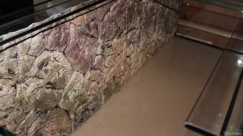 3D Rückwand von SouthAmerica (11)