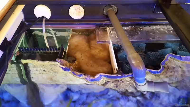 3D Rückwandfilterung  von Günter+Karin (22)