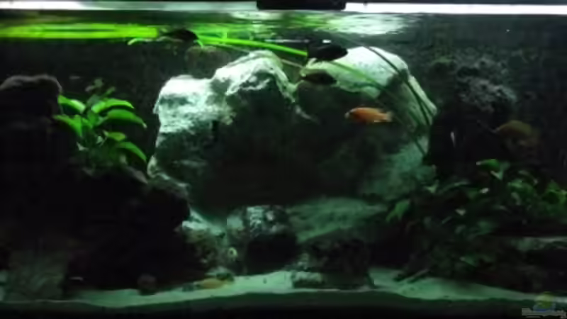 3D-Wand neu am 17.02.11 von Schdäff (6)