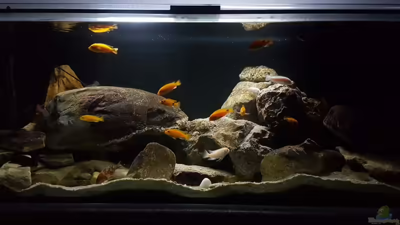 3ter Versuch Nov 2017 von Mel (7)