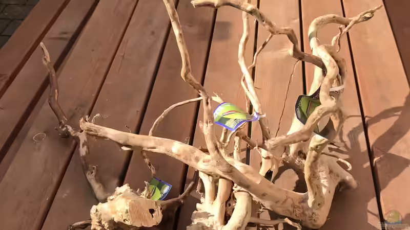 3x Fingerwood Groß  von Raven887 (15)