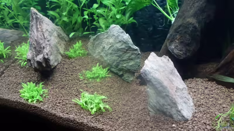 3x Schiffer in rot (2012-12-18) von Mario Bösch (10)