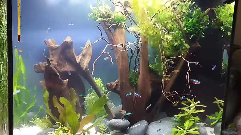 4.10.2020 von Grünhexe (5)