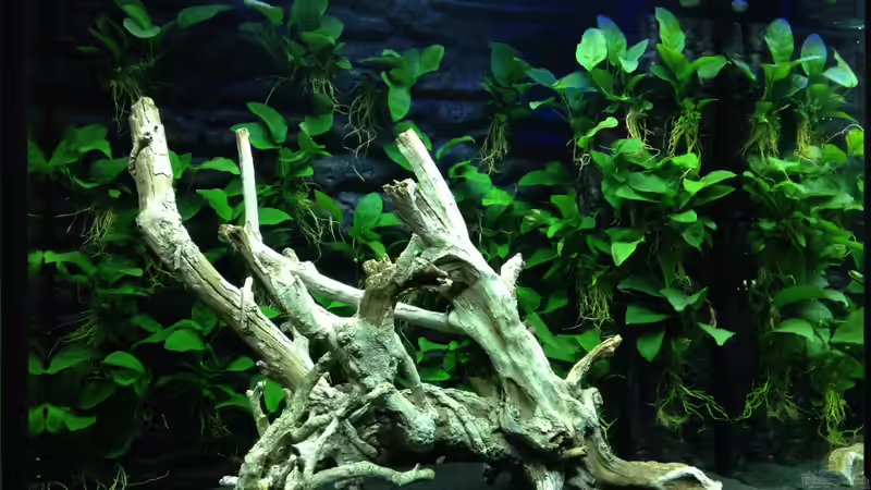 4.11.2013 von K.S. (5)