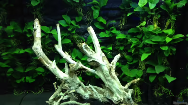 4.11.2013 von K.S. (7)