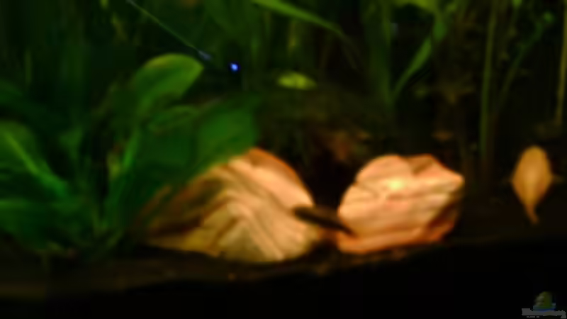 4.2.07 von Nicole Helal (29)