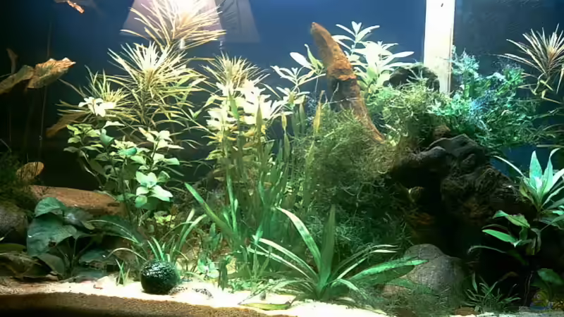 4.4.2006 von Ingo Hornung (4)