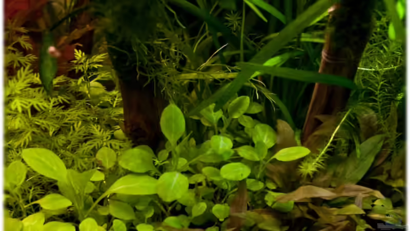 4.4.2011 von Ralf64 (28)