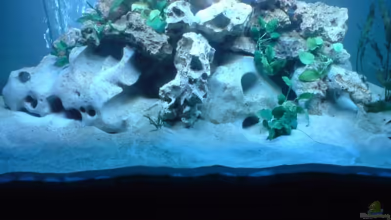 4.7.08 von Sebastian Puhl (5)