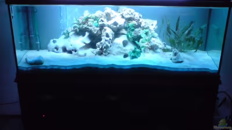 4.7.08 von Sebastian Puhl (6)