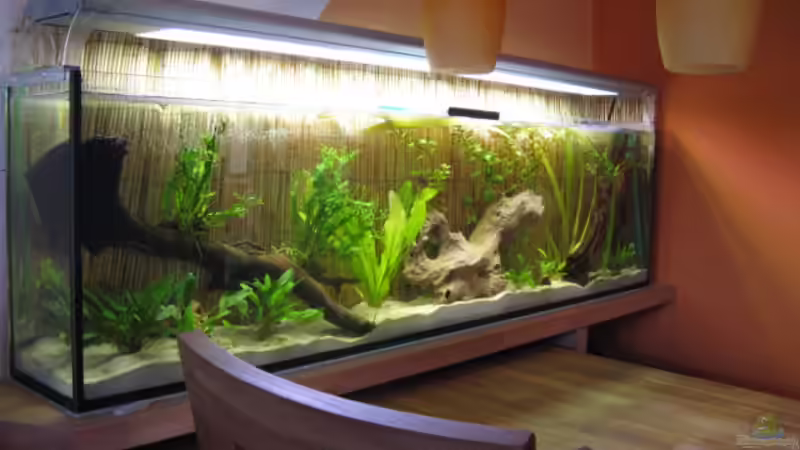 4.8.2008 von Andrea (27)