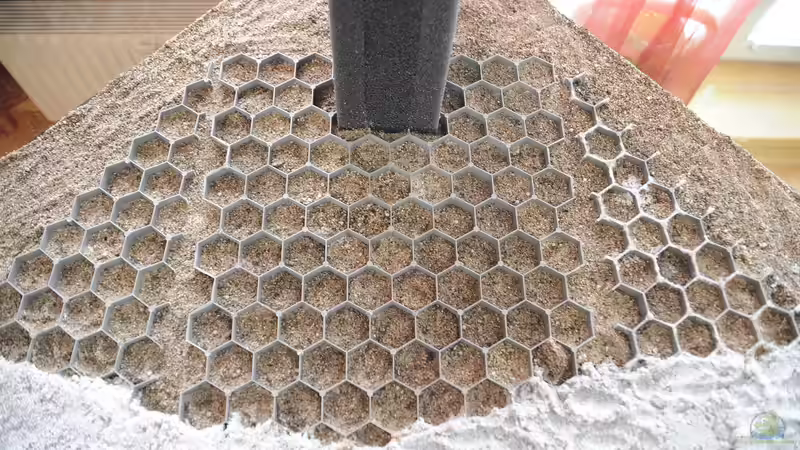 4 cm Nährboden und der noch unverkleidete HMF von Peter Vlasaty (33)