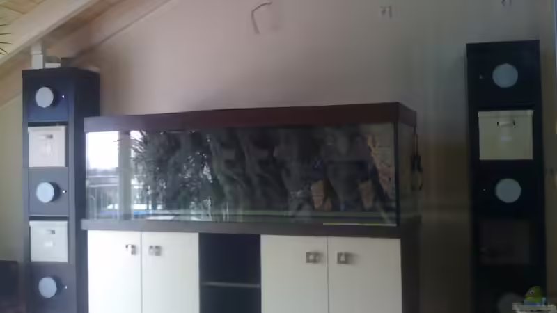 4 kräftige Männer waren notwendig um das ganze zu transportieren und so aufzustellen das weder Möbel noch Glas beschädigt werden von Zork-Nemesis (4)