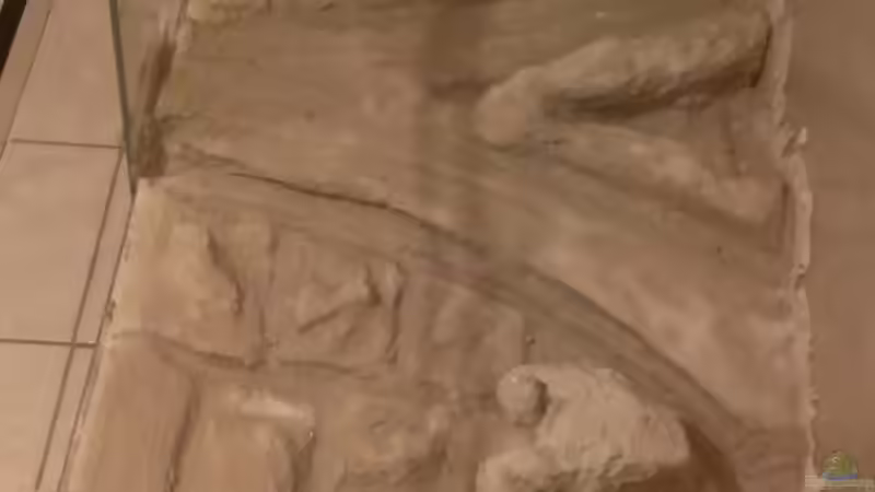 4.Lage Fliesenkleber, Endtrocknung. von raubsau (29)