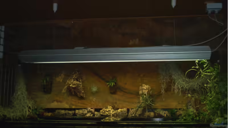 4 Mann waren nötig zur Befestigung !!! von Mirko Ritter (12)