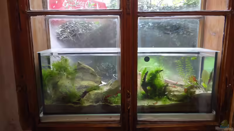 4 Monate - Dezember von paris (7)