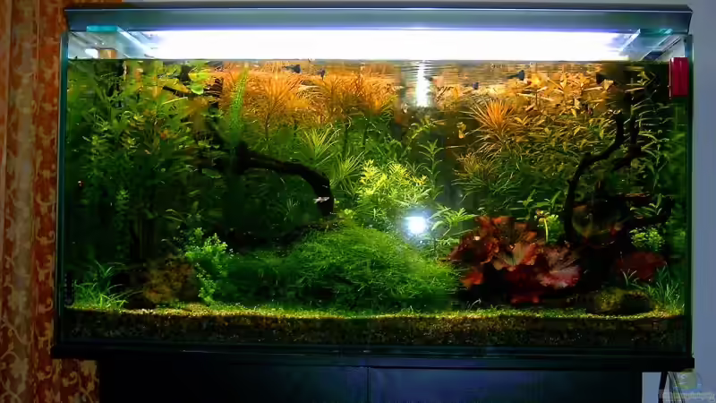 4 Monate nach Neueinrichtung von zaffa (3)